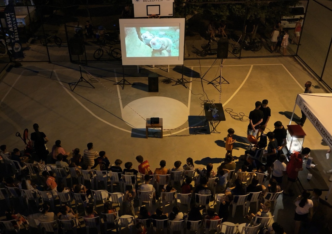 AÇIK HAVA SİNEMALARI